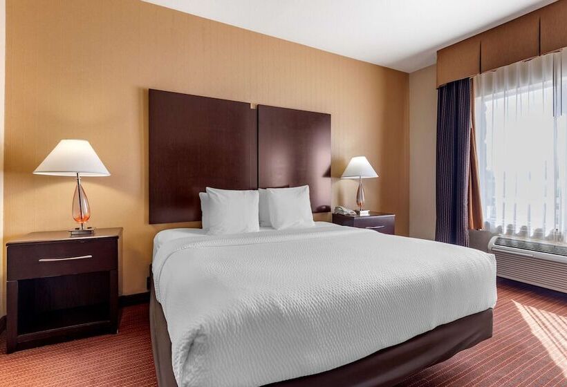 סוויטה, Best Western Plus Dfw Airport West Euless