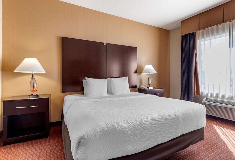 جناح, Best Western Plus Dfw Airport West Euless