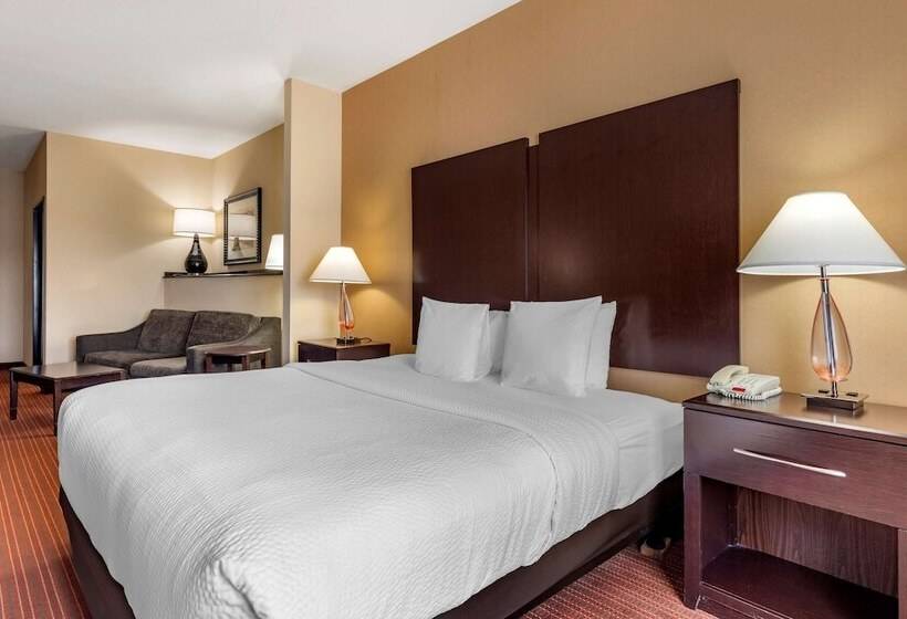 סוויטה, Best Western Plus Dfw Airport West Euless