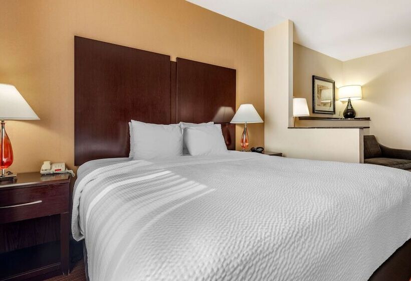 סוויטה, Best Western Plus Dfw Airport West Euless