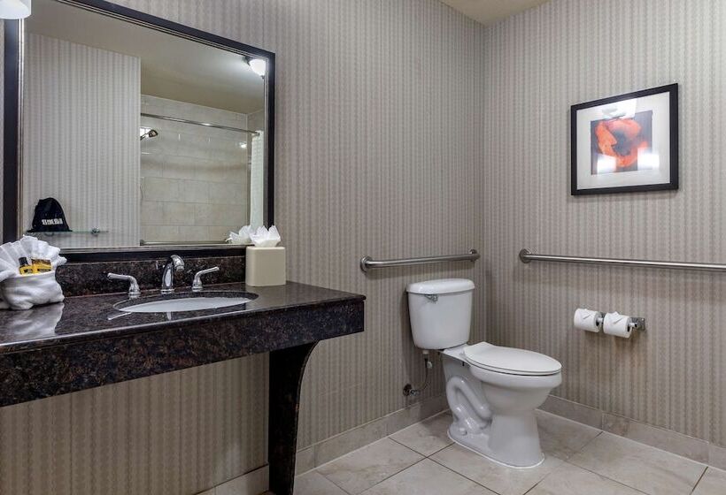 סוויטה, Best Western Plus Dfw Airport West Euless