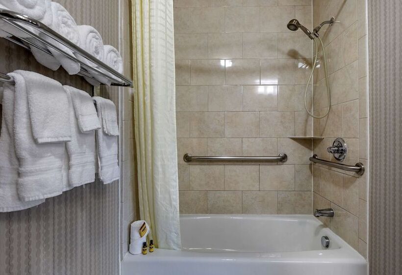 סוויטה, Best Western Plus Dfw Airport West Euless