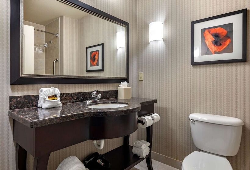 סוויטה, Best Western Plus Dfw Airport West Euless