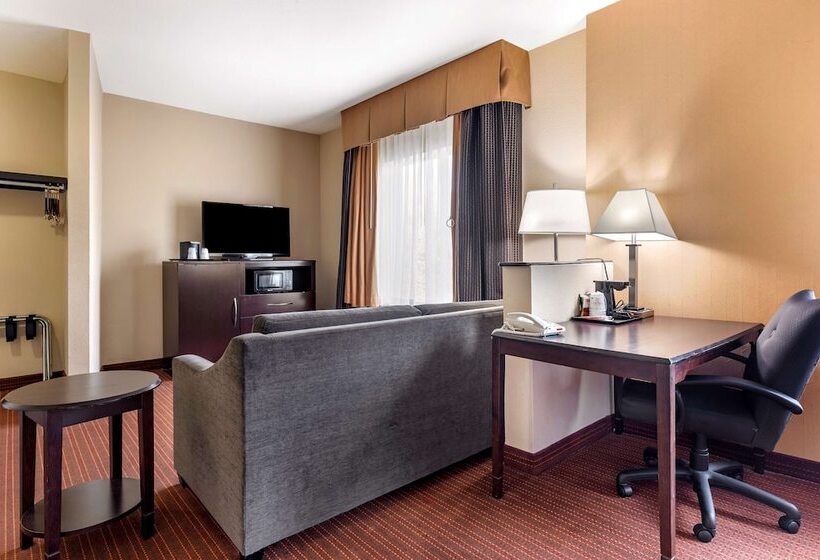 סוויטה, Best Western Plus Dfw Airport West Euless