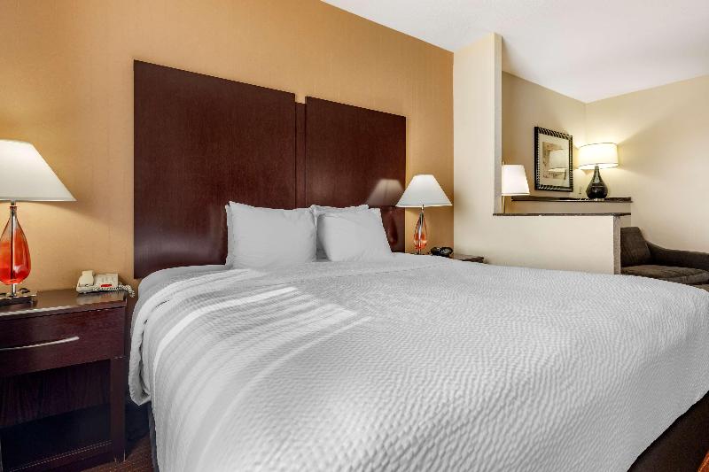 جناح سرير كينج, Best Western Plus Dfw Airport West Euless