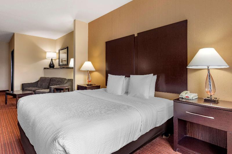 جناح سرير كينج, Best Western Plus Dfw Airport West Euless