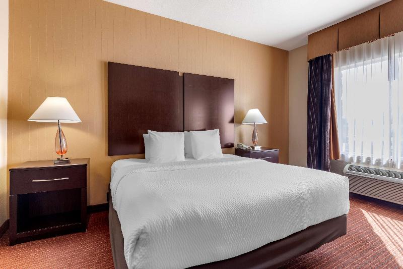 جناح سرير كينج, Best Western Plus Dfw Airport West Euless