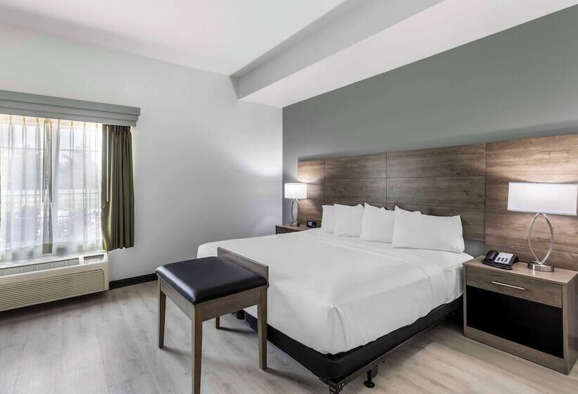 سوییت, Best Western Plus Midamerica