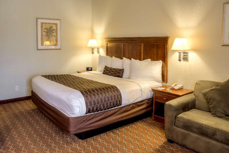 اتاق استاندارد با تخت بزرگ, Best Western Plus Midamerica
