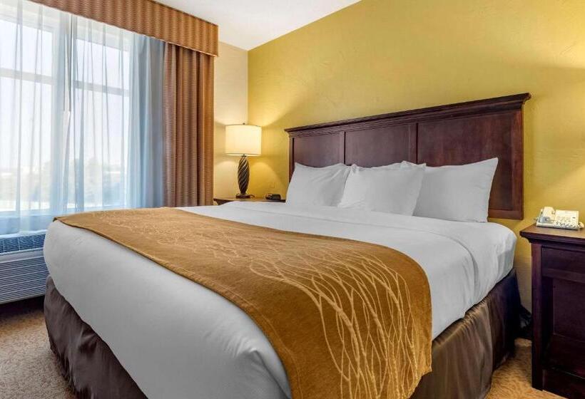 Quarto Estandar Cama King para Deficientes Físicos, Country Inn & Suites By Radisson, Dover, Oh