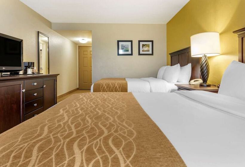 Quarto Estandar 2 Camas Casal, Country Inn & Suites By Radisson, Dover, Oh