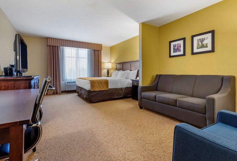 Suite Accessibile ai persone con mobilità ridotta, Country Inn & Suites By Radisson, Dover, Oh