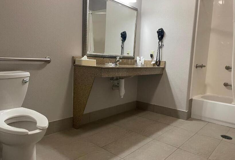 سوئیت با تخت بزرگ, Country Inn & Suites By Radisson, College Station, Tx
