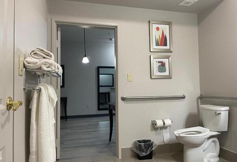سوئیت با تخت بزرگ, Country Inn & Suites By Radisson, College Station, Tx