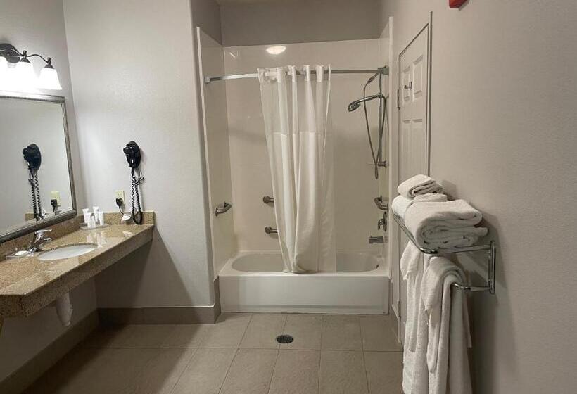 استودیو استاندارد با تخت کینگ, Country Inn & Suites By Radisson, College Station, Tx