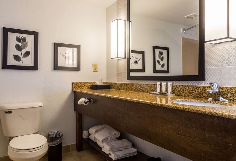 سوییت, Country Inn & Suites By Radisson, Doswell Kings Dominion , Va