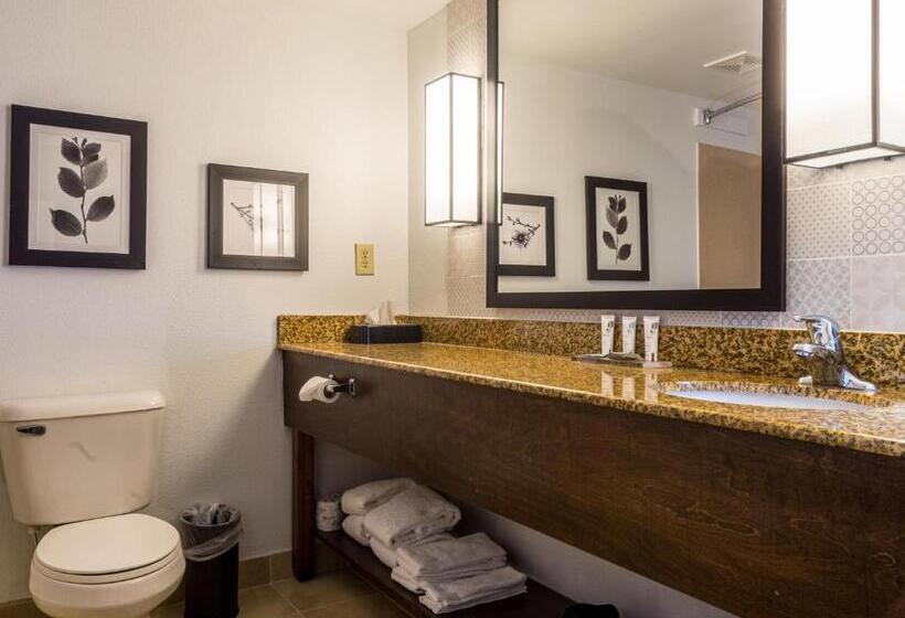 اتاق استاندارد, Country Inn & Suites By Radisson, Doswell Kings Dominion , Va