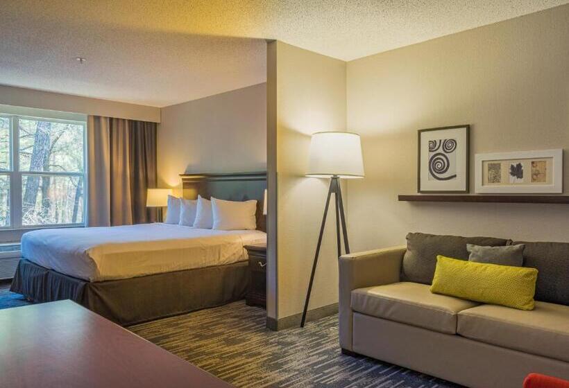 استودیو استاندارد با تخت کینگ, Country Inn & Suites By Radisson, Doswell Kings Dominion , Va