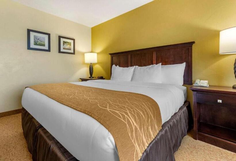 Camera Standard Letto King Accessibile ai persone con mobilità ridotta, Country Inn & Suites By Radisson, Dover, Oh