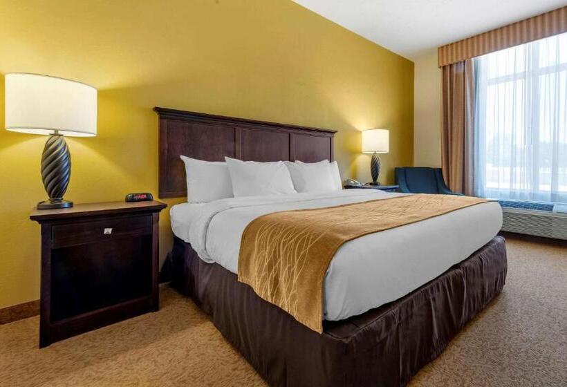 Camera Standard Letto King Accessibile ai persone con mobilità ridotta, Country Inn & Suites By Radisson, Dover, Oh