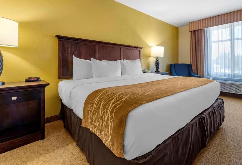 Quarto Estandar Cama King para Deficientes Físicos, Country Inn & Suites By Radisson, Dover, Oh