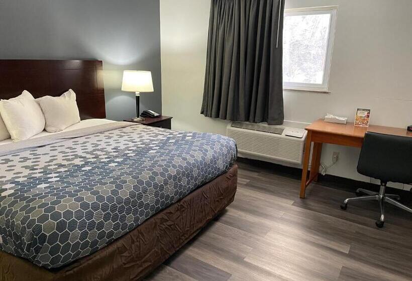 اتاق استاندارد با تخت بزرگ, Econo Lodge Jefferson Hills Hwy 51