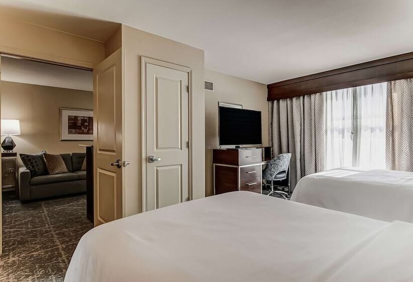 Suite para Deficientes, Embassy Suites By Hilton Atlanta Kennesaw Town Center