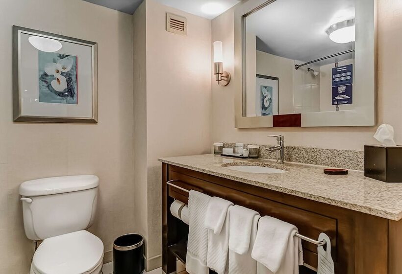 سوییت, Embassy Suites Atlanta   Kennesaw Town Center