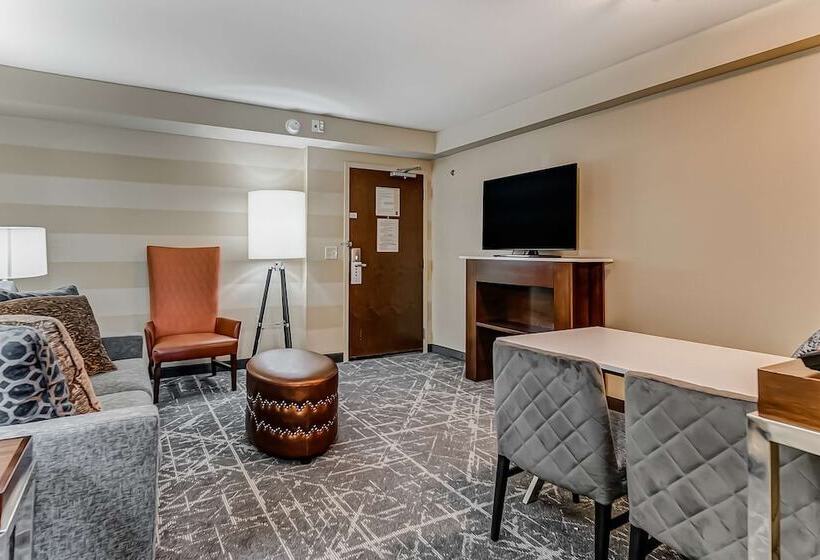 Suite, Embassy Suites By Hilton Atlanta Kennesaw Town Center