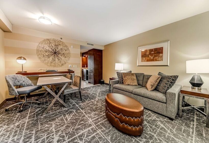 Suite, Embassy Suites By Hilton Atlanta Kennesaw Town Center