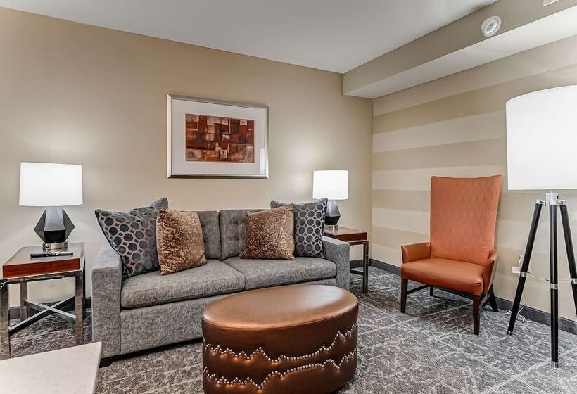 Suite, Embassy Suites By Hilton Atlanta Kennesaw Town Center