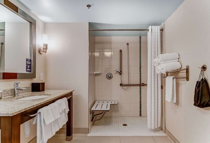 Suite para Deficientes, Embassy Suites By Hilton Atlanta Kennesaw Town Center