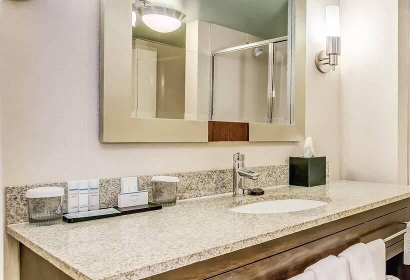 Suite para Deficientes, Embassy Suites By Hilton Atlanta Kennesaw Town Center