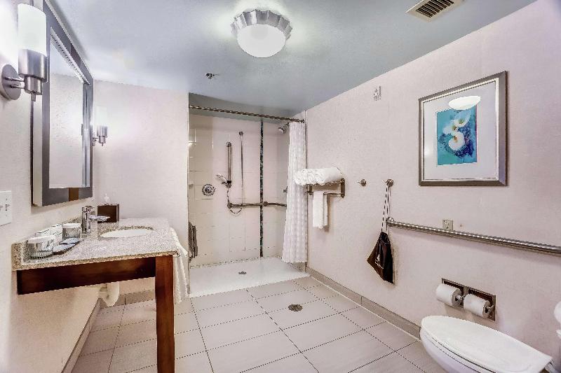 سوئیت با تخت بزرگ, Embassy Suites Atlanta   Kennesaw Town Center