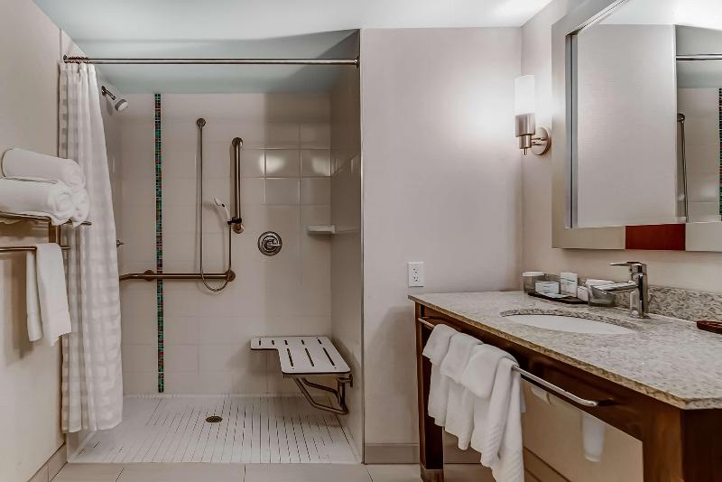 سوئیت با تخت بزرگ, Embassy Suites Atlanta   Kennesaw Town Center