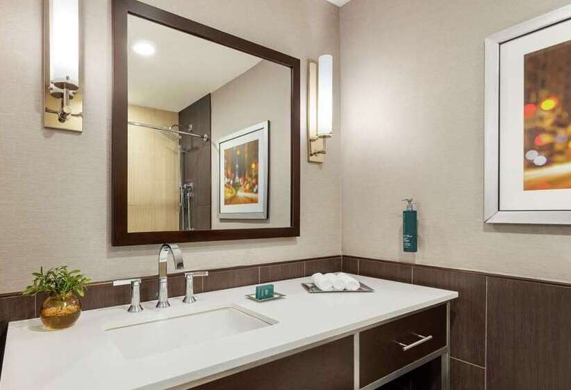 اتاق استاندارد با تخت بزرگ, Hilton Columbus Downtown