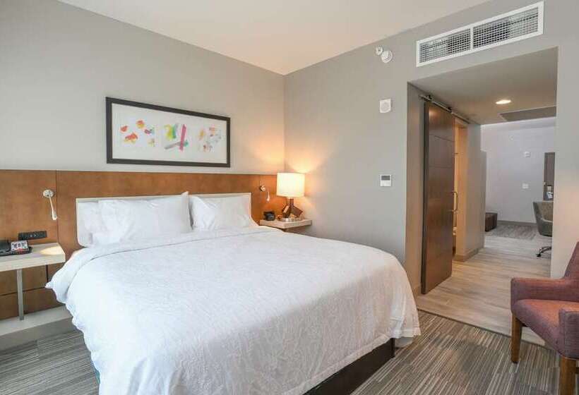 اتاق استاندارد با تخت بزرگ, Hilton Columbus Downtown
