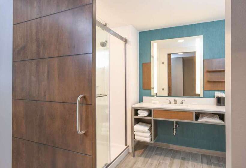 اتاق استاندارد با تخت بزرگ, Hilton Columbus Downtown