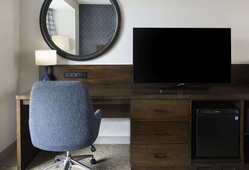 اتاق استاندارد با تخت بزرگ برای معلولان, Hilton Columbus Downtown