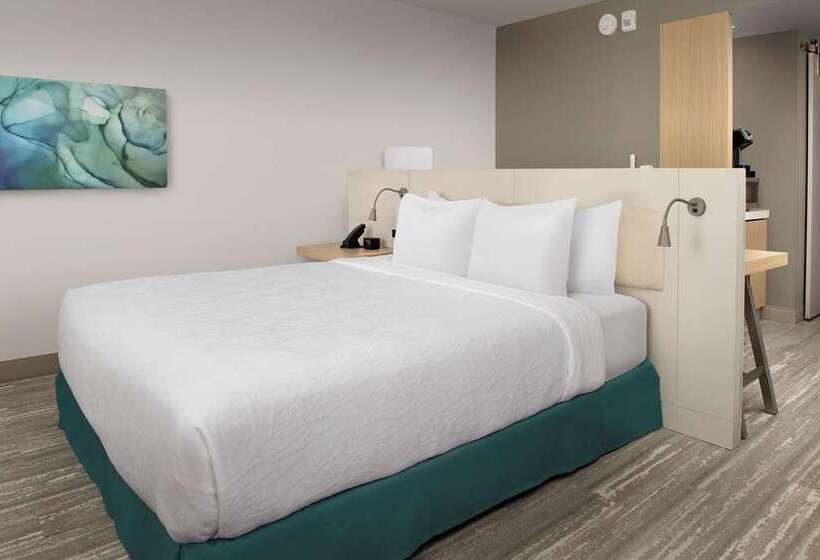 اتاق استاندارد با تخت بزرگ برای معلولان, Hilton Columbus Downtown