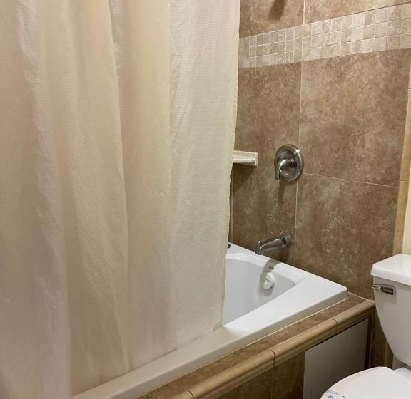 اتاق استاندارد با تخت بزرگ, Riverside Inn & Suites Santa Cruz
