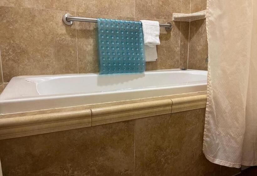 اتاق استاندارد با تخت بزرگ, Riverside Inn & Suites Santa Cruz