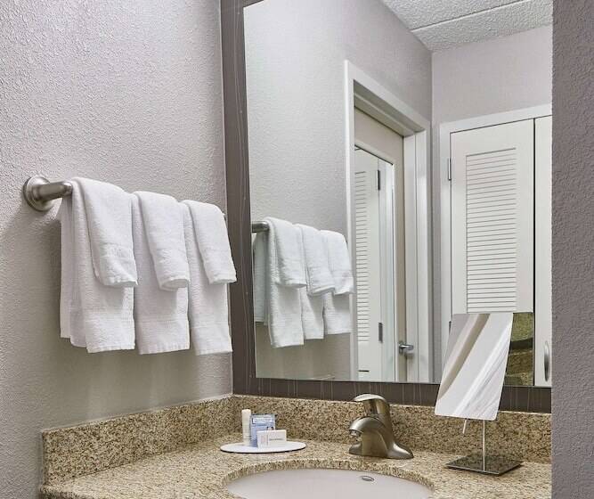 سوییت, Sonesta Select Raleigh Durham Airport Morrisville
