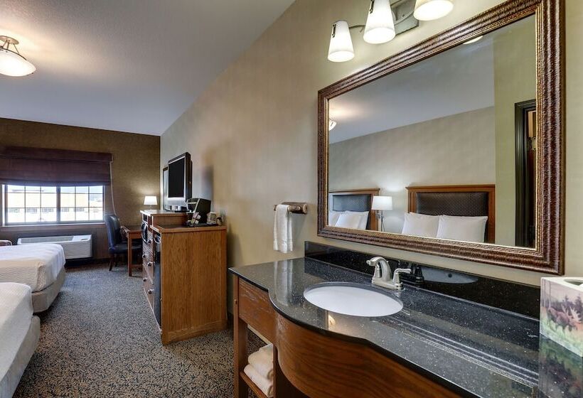 Deluxe Room, Stoney Creek  & Conference Center  Sioux City