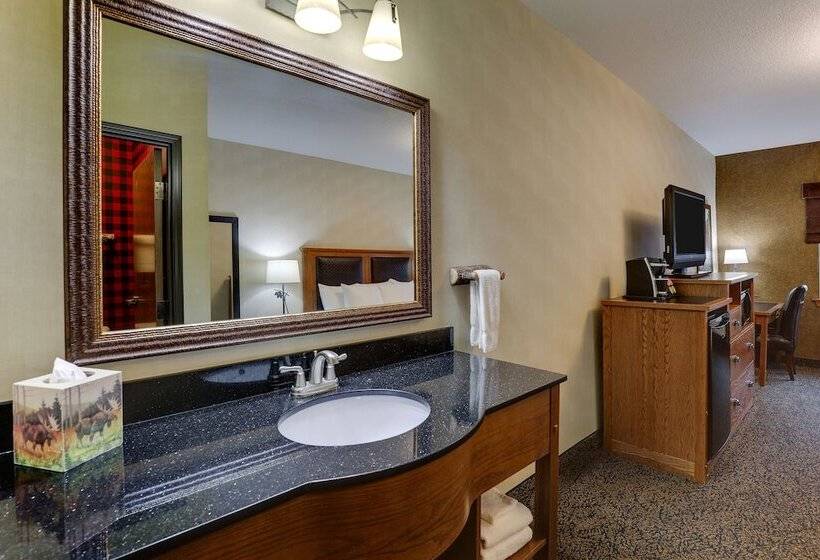 Deluxe Room, Stoney Creek  & Conference Center  Sioux City