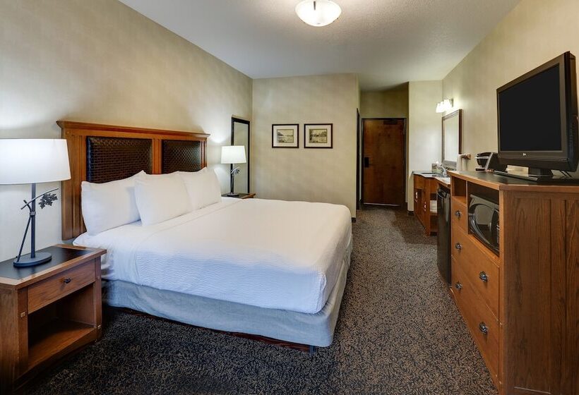 Habitación Deluxe, Stoney Creek  & Conference Center  Sioux City