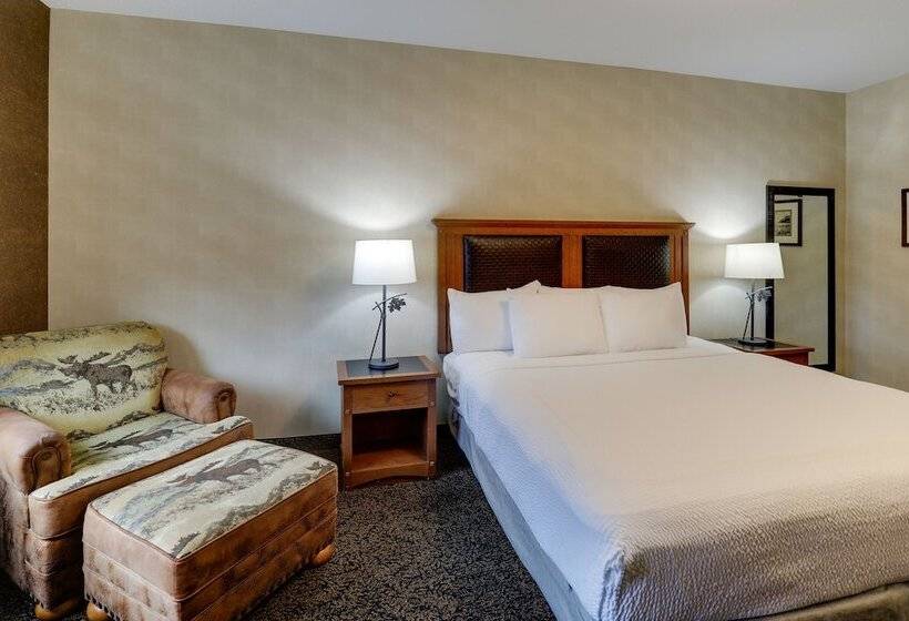 Deluxe Room, Stoney Creek  & Conference Center  Sioux City