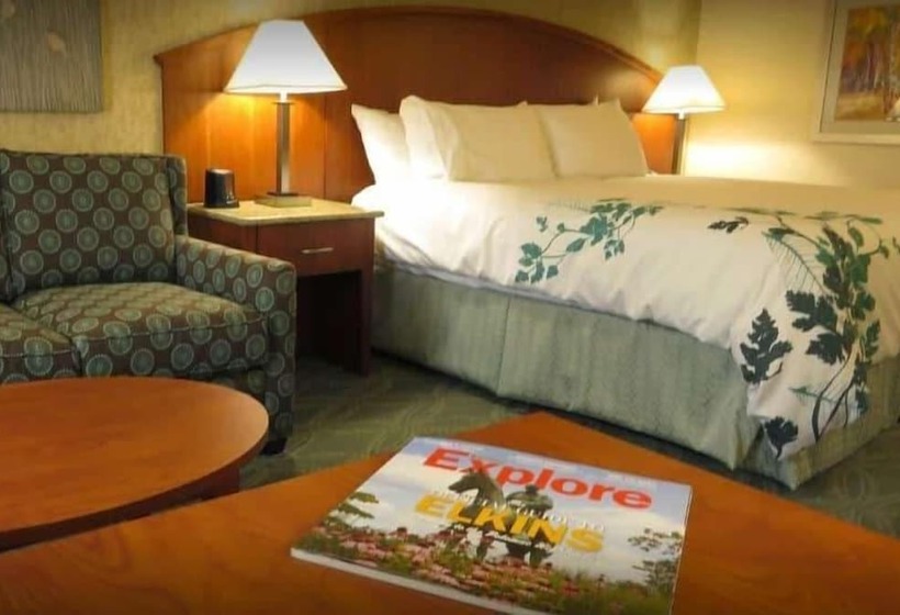 Deluxe Room, Wingate By Wyndham Elkins