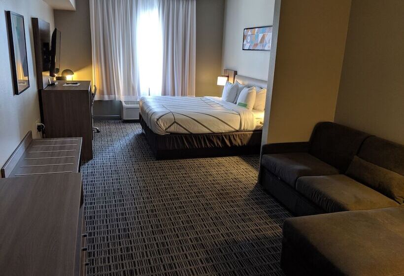 اتاق لوکس, La Quinta By Wyndham Montgomery