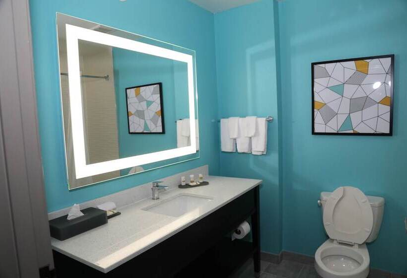 اتاق استاندارد با 2 تخت دوبل, La Quinta By Wyndham Montgomery